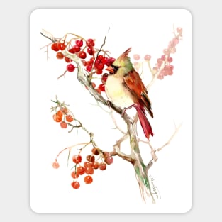 Cardinal And Berries Sticker
